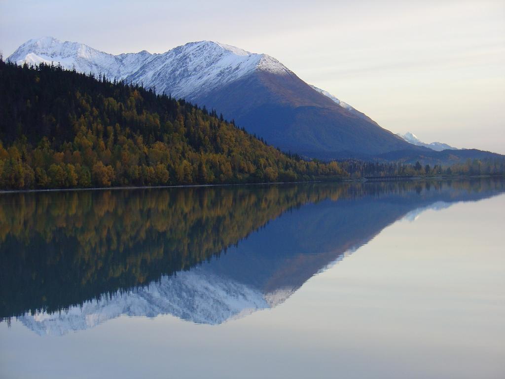 Arctic Paradise B&B Seward Esterno foto
